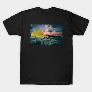 Titanic Iceberg Lettuce T-Shirt